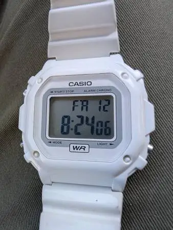 CASIO - F108WHC