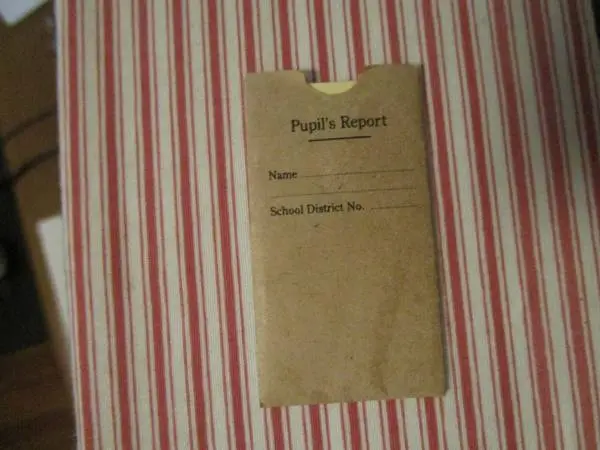 American Girl Ironing Board and Puplis Report