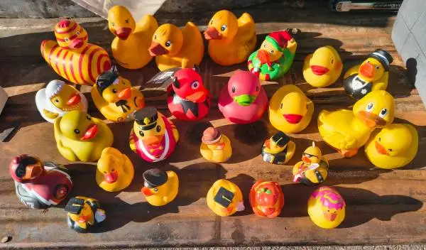 25 Rubber Duckies
