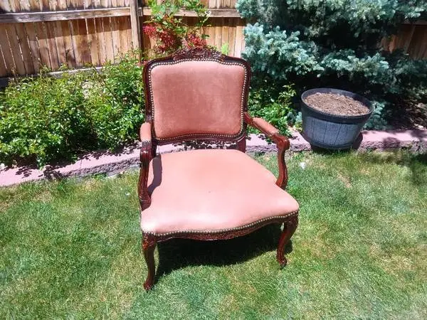 Luxurious Living Room Chair w Polyurethane Foam