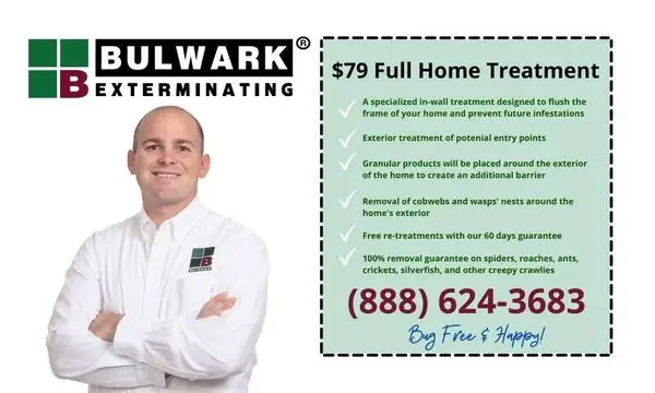 $79 Full Home Pest Control Treatment