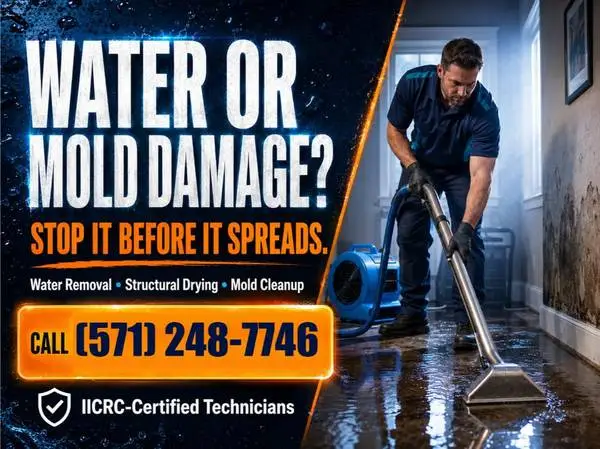✅ Water Damage? Flooded? Mold Removal Help Is Here