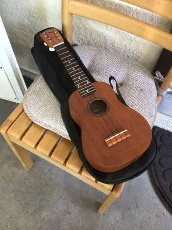 Ukulele