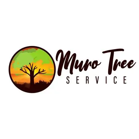 Affordable Tree Contractor serving all cities