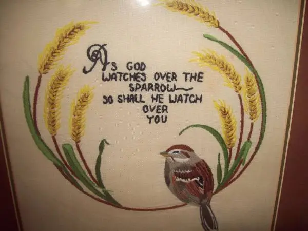 Framed!Needlepoint-God Watches Over Sparrow-So Shall He Watch Over