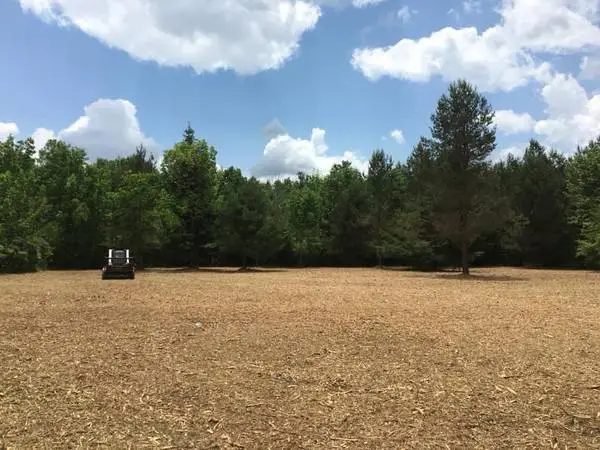 🌲FORESTRY MULCHING & LAND CLEARING🌲