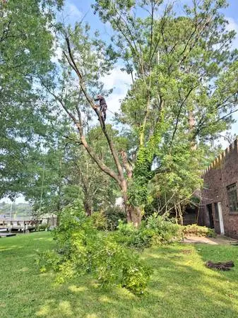 █►TREE CUTTING & LANDSCAPING SERVICE BY PEREZ◄█