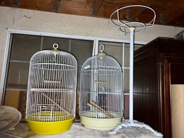 Bird cage 4sale