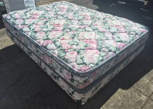 QUEEN SIZE PLUSHTOP MATTRESS & BOX SPRING ~ EXCELLENT CONDITION