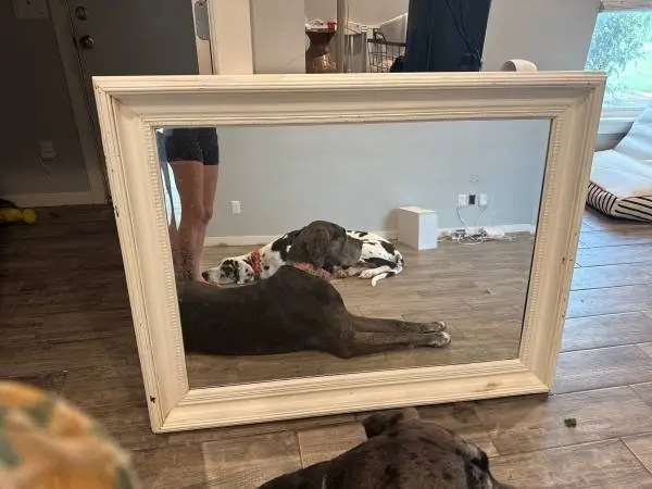 Giant mirror