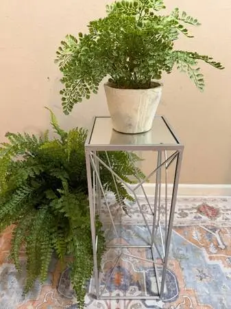 Silver Plant Stand with Mirror Top