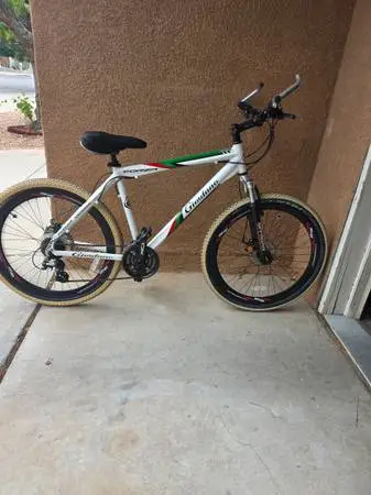 24 speed mountain bike