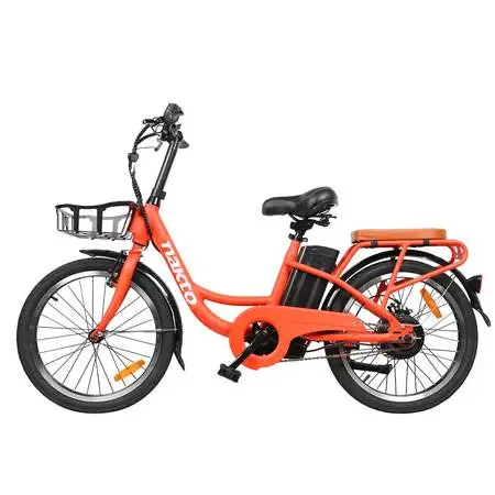 ❤ ELECTRIC BICYCLE