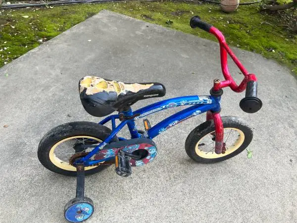 Paw patrol bicycle with training wheels