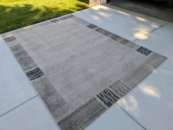 Area Rug 7 x 10