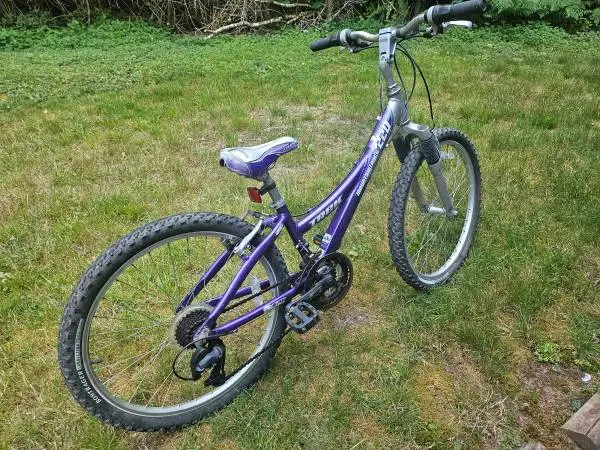 Girls Mountain Bike