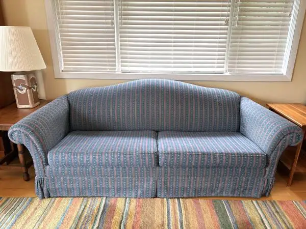 La-Z-Boy Sleeper Sofa