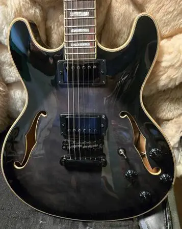 Semi Hollow Electric Guitar
