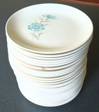 27 vintage TST Taylor Smith Ever Yours Boutonniere 6.75 dessert plate
