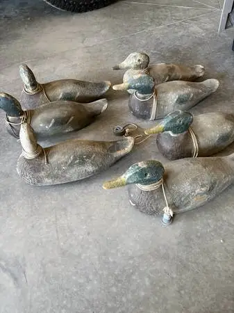 Antique Decoy Ducks