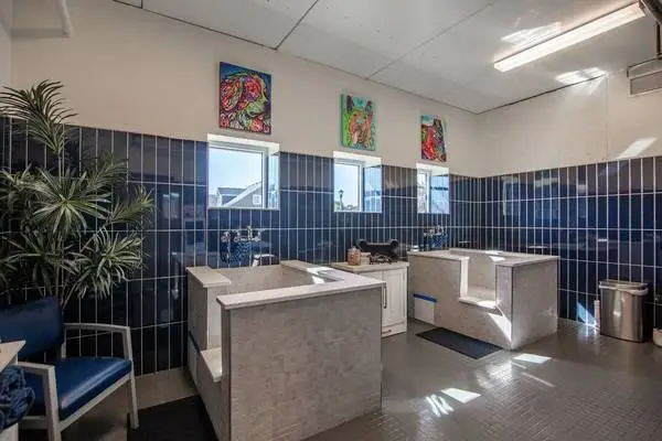 Indoor Bike Storage, Package Delivery Room, 3BD 2BA