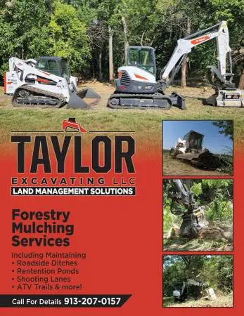 Forestry Mulching and Specialty Brush cutting