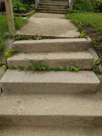 😎😎😎CONCRETE Work (smaller jobs)/ All repair/ Driveway Caulking/$AVE