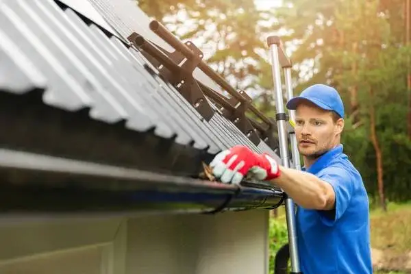GUTTERS CLEANING From $100...FREE ESTIMATES