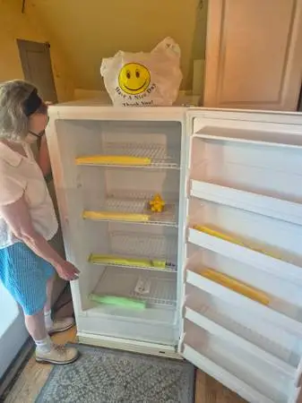 Upright Freezer Commercial Upright Fridgeidare Freezer