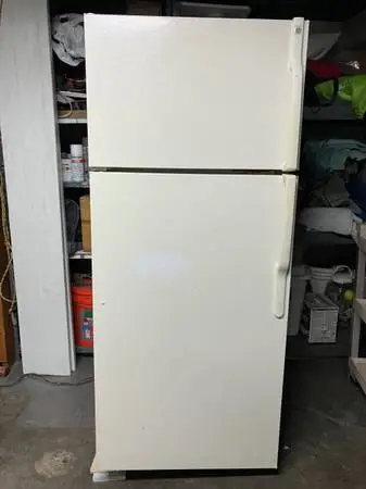 GE 18 Cu. Ft. Top Freezer Refrigerator