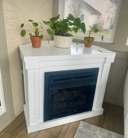 Dual Fuel Vent Free Gas (or propane) fireplace
