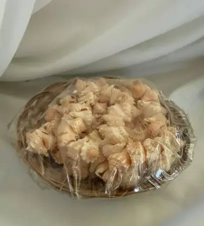 Basket of Sea Shells