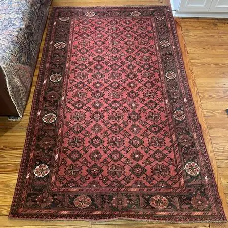 Turkmen Bashiri Oriental Rug