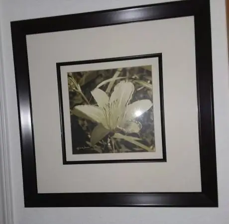 Limited Edition Alicia Soave Orchid Photograph