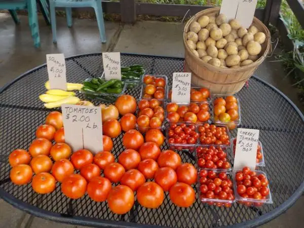 Tomatoes homegrown for sale