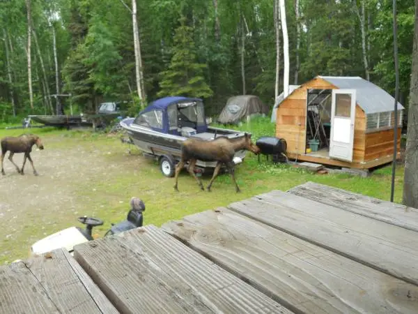 18ft AlumaWeld Jet Boat