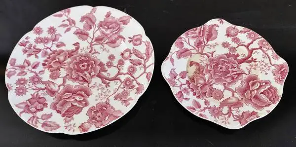 10 Piece Red Pink Plates