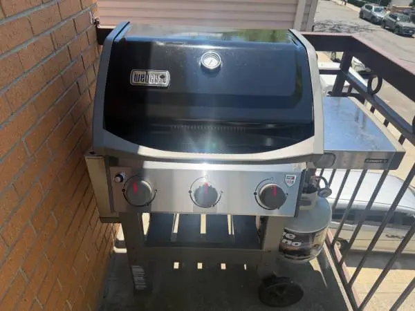 Weber Spirit II Grill