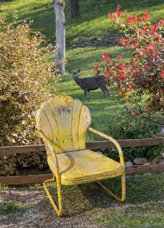 Motel Chair Clamshell Iron, No holes