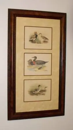 33 x 19 3 Framed Duck Prints by Eaton Allen Galleries