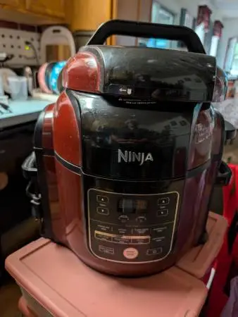 Ninja foodie