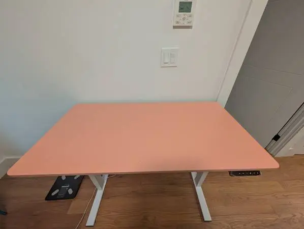 FLEXISPOT Electric Standing Desk (48x24)