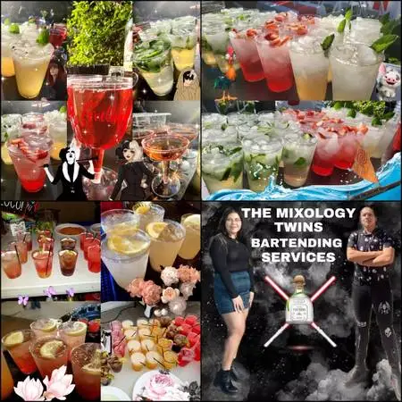 Mixology Twins Bartending Service- Bar, Barista,Bartender, Cantinero
