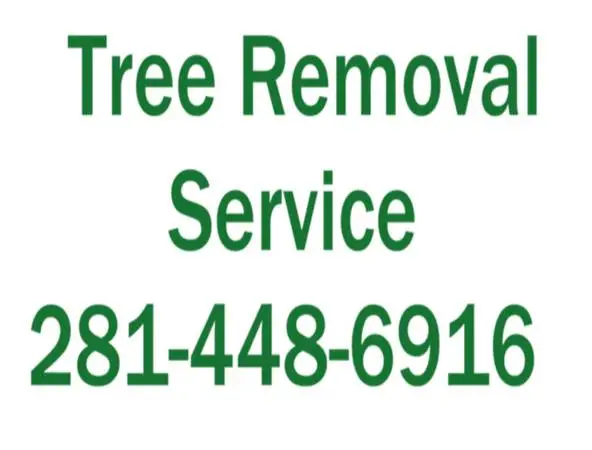 🌳 Adolfo’s Tree Service – Tree trimming lot clearing 281-448-6816🌳