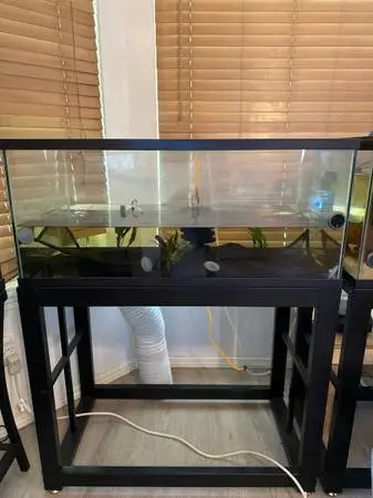 40 gallon tank and stand