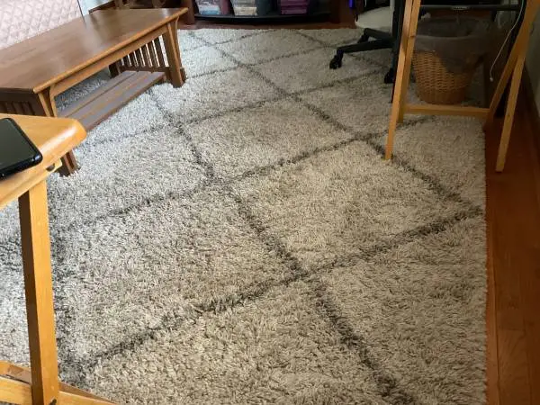Coffee table & 2 matching end tables & carpet