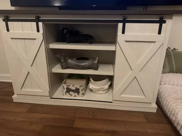 Lorraine TV Stand w/ Sliding Barn Doors