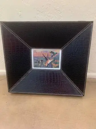 Hummingbirds Photo In Oversized Leatherette Frame