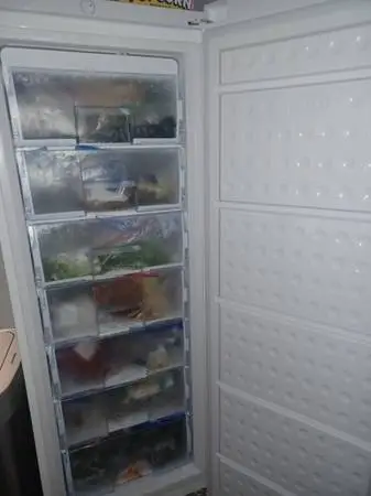 Upright and Chest Freezers