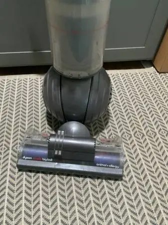 Dyson Big Ball vacuum for animal allergies.